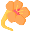 开云APP logo