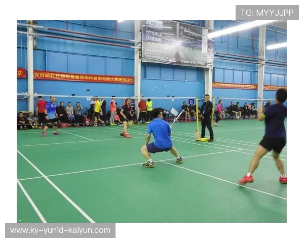 羽毛球运动素质提升的关键要素与训练方法探析